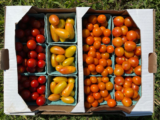 Heirloom Cherry Tomatoes