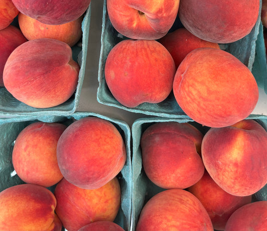 Jersey Peaches