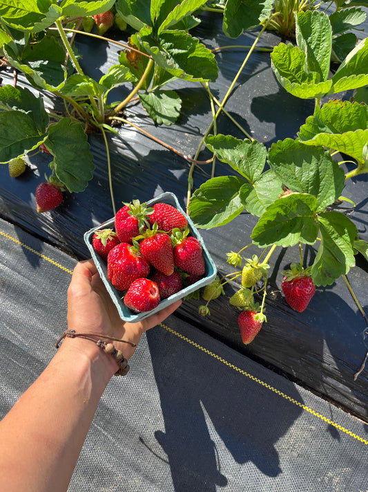 Strawberries
