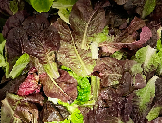 Little Gem Salad Mix